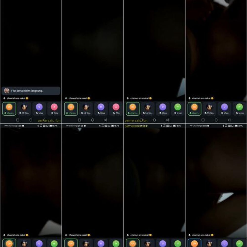 P3 Arralee Seleb Vcs 3